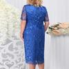 Женское платье Лето с коротким рукавом и вышивкой Женские длинные платья Кружевные платья с круглым вырезом большого размера