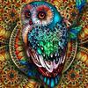 Full 5D Diy Diamond Painting Cartoon Owl Mosaic Embroidery Cross Stitch Home Decor Handmade Gift