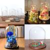 8 Pcs Cloche with Flower Landscape Holder