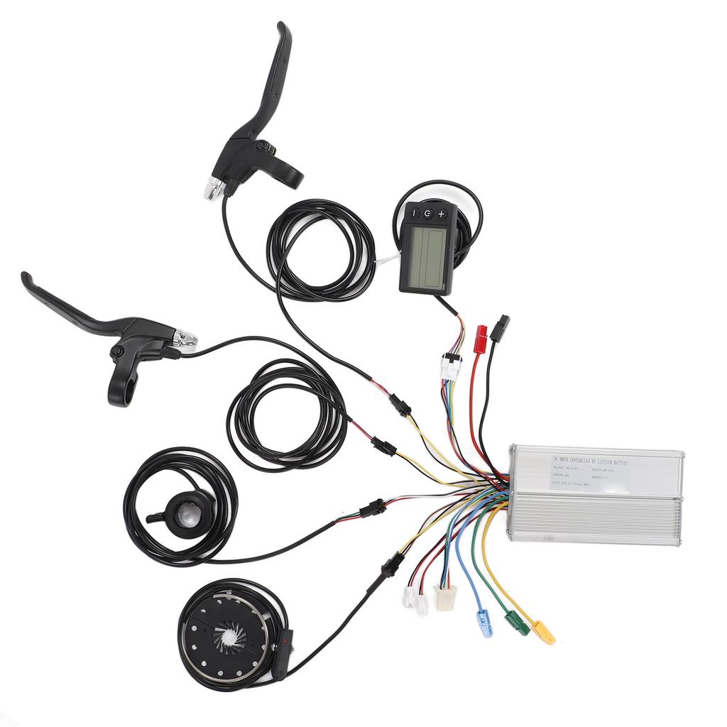 12mm Stainless Steel Twist Shackle with Screw Pin High Breaking Strength for Marine Yachts Speedboats Ships