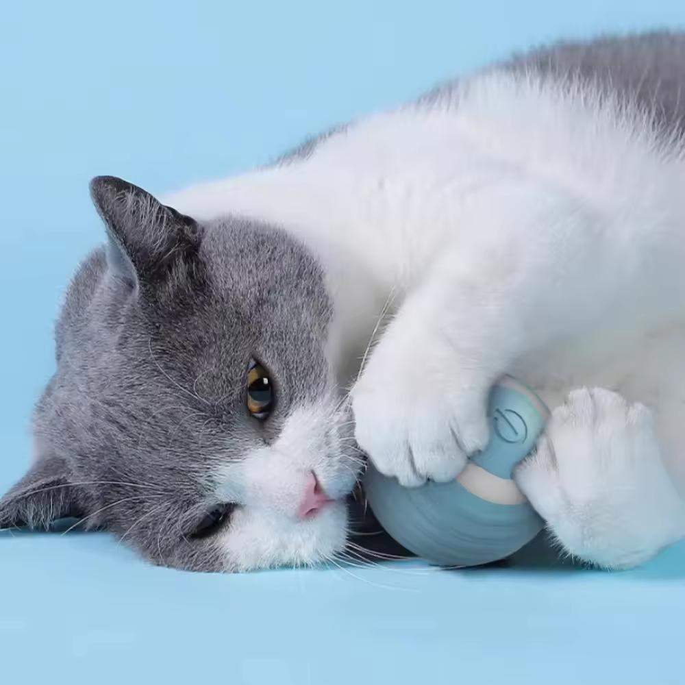 Умный кот, игрушки с катящимся мячом, перезаряжаемые игрушки для кошек, мяч, движущийся мяч, самодвижущиеся игрушки для котят, интерактивные игры в помещении