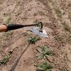 Good Quenching Forging Process Garden Hoe Multifunctional Durable Small Hoe
