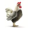 HANSA Rooster Plush Toy, 25.8x14.9x27.7cm, Acrylic, 194711