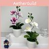 Realistic Butterfly Orchid  Green Plants Potted For Indoor Decorations