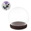 Glass Dome with Base Display DIY Valentines Day Gifts Showcase Decor Decorative