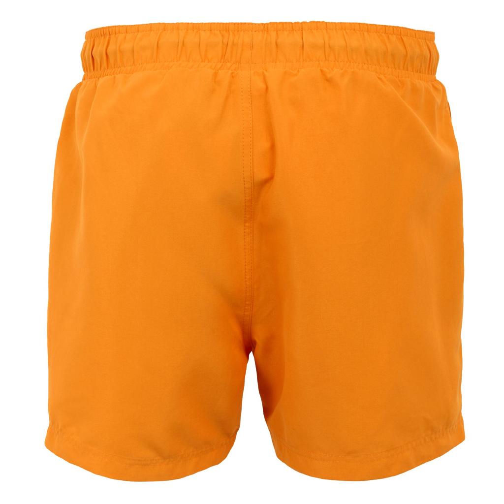 Regatta Mens Mawson II Swim Shorts