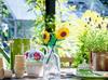LEGO MERCHANDISE 40524 Sunflowers