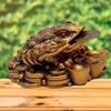 Money Frog with Coin Showpiece Polyresin Brass Color