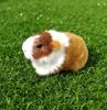 Игрушка из искусственного меха Морская свинка Животное Плюшевая набивная кукла Кукла хомяка Плюшевая игрушка Мягкая плюшевая фигурка животного Для детей Подарок на день рождения