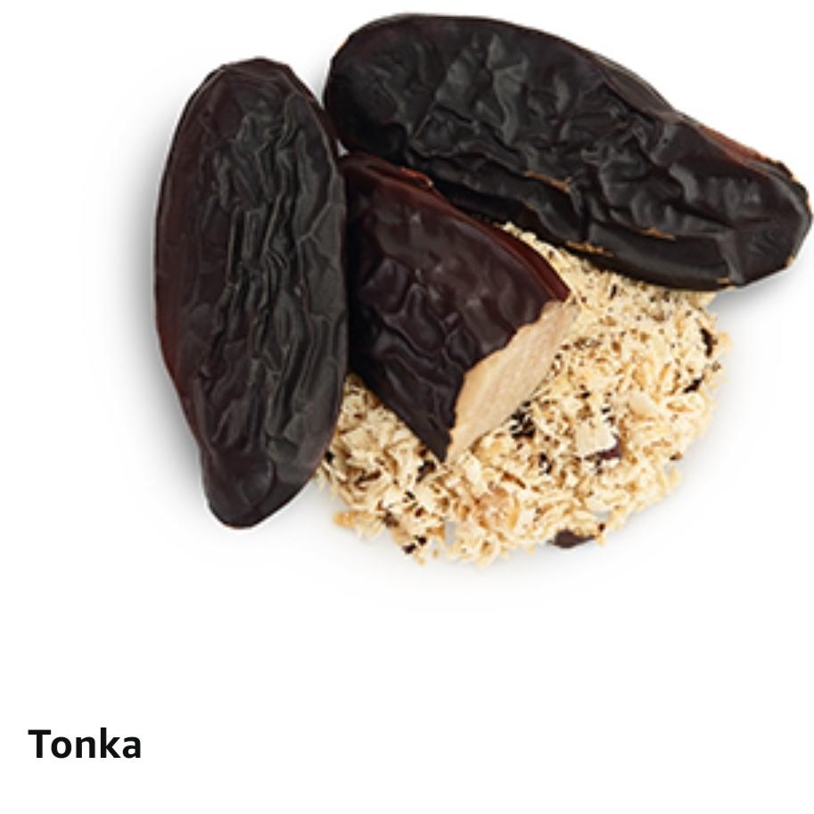 Парфюмерная вода MAN | Духи Office Wear для мужчин со стойкими нотами бобов тонка и агарового дерева | аромат премиум-класса для мужчин | 100 мл