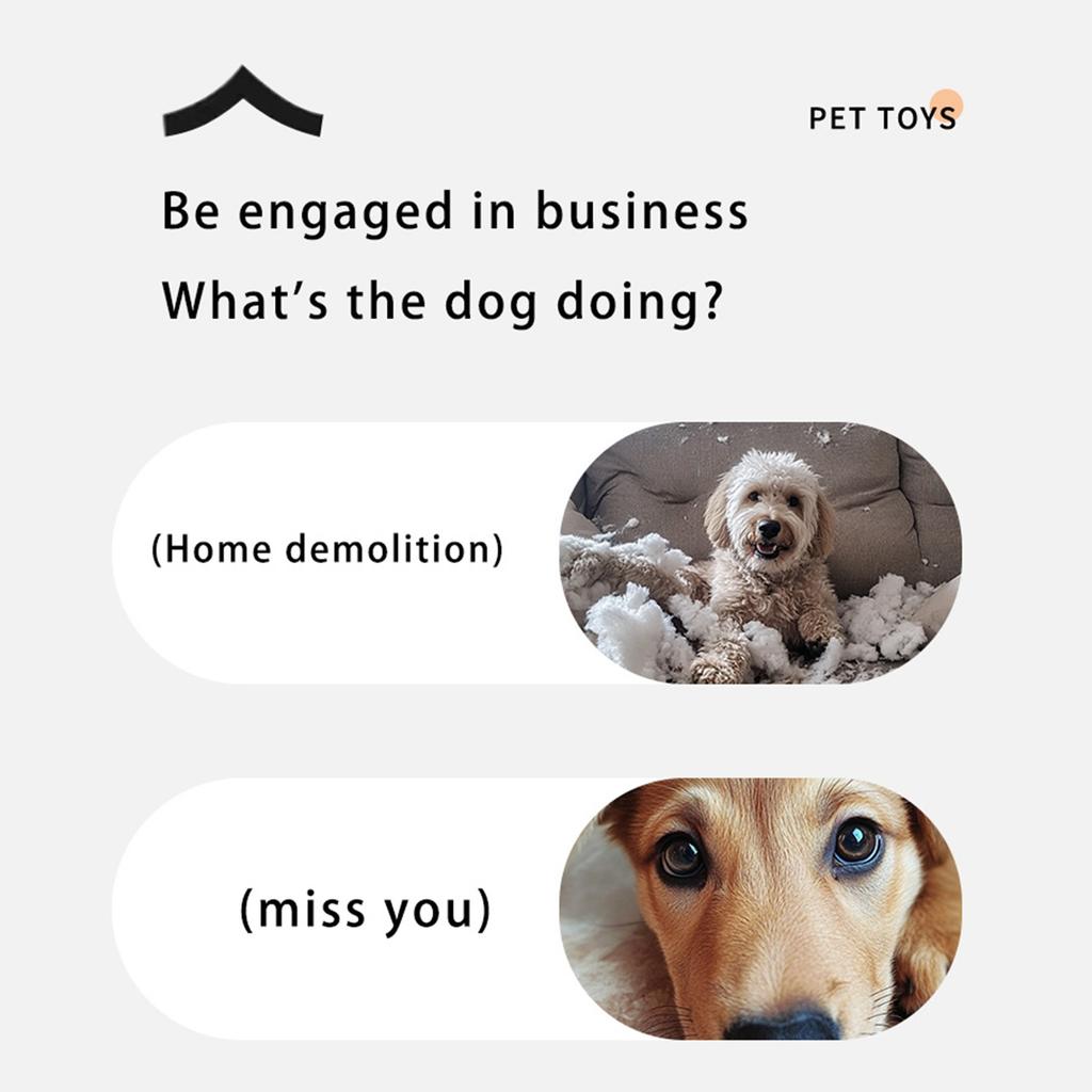 Интерактивные игрушки для собак, новые игрушки для собак с пищалкой, активный катящийся мяч для щенков и средних собак, перезаряжаемый через USB