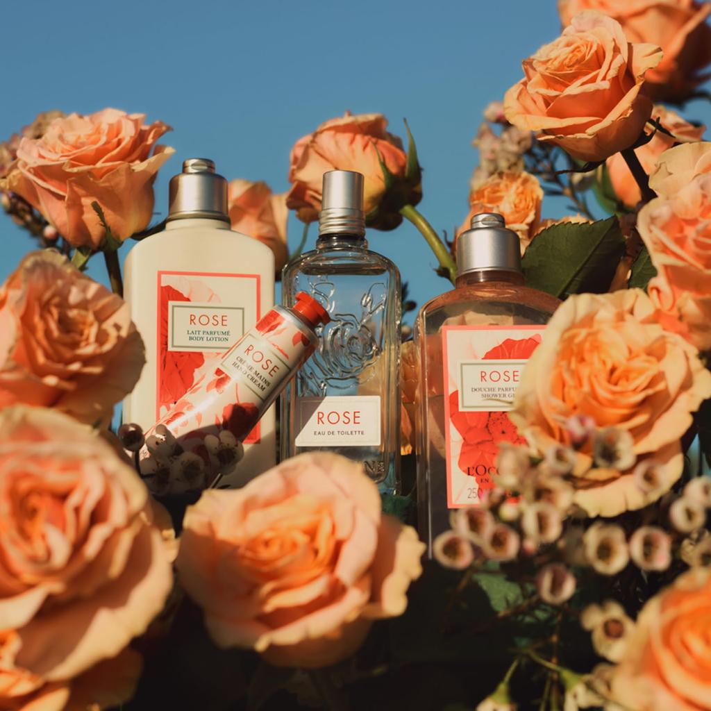 Rose Hand Moisturizing for Dry Popular for Men and Rose Hand Care L'OCCITANE Cream, 30mL, Skin, Women,