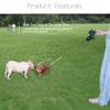 Pet Traction Rope Belt for 2 Dogs Walking Dual Dog Rope Leash Adjustable Retractable Rotation Pet Rope with Light Double