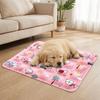 Non-Slip Pet Cooling Mat Anti Bite Pet Ice Cushion Portable Cat Sleeping Pad  Summer