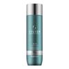 Wella System Men Серебристый шампунь M1S 250 мл