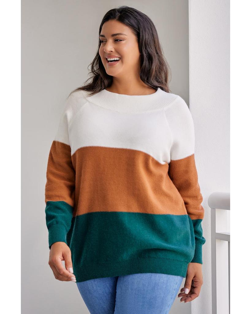 Azura Exchange Brown Plus Size Ribbed Trim Color Block Sweater