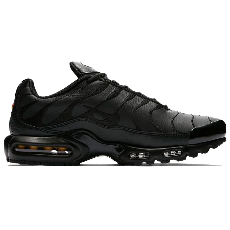 Nike Air Max Plus TN Triple Black Men Sneakers Black-Black AJ2029-001