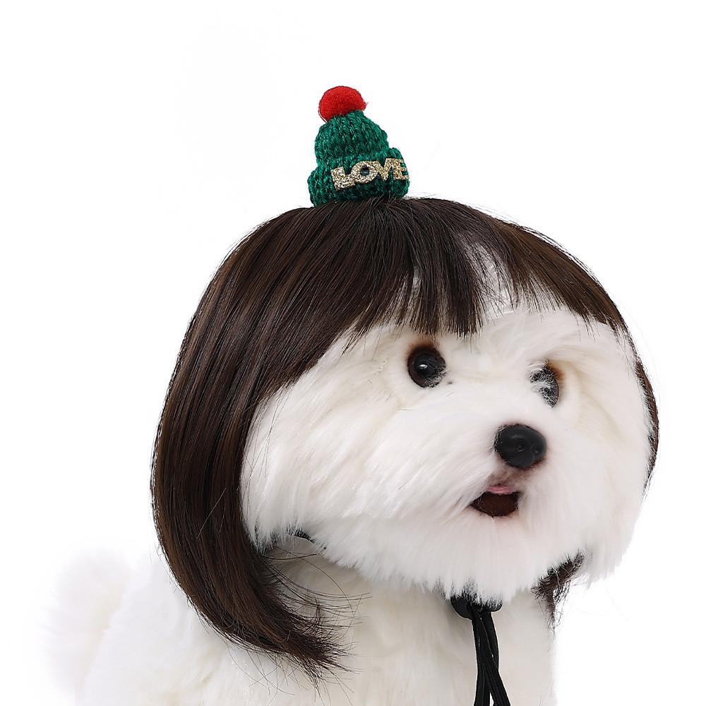 Adorable Pet Wig With Bangs Cute Bob Style For Cats And Dogs In Vibrant Colors