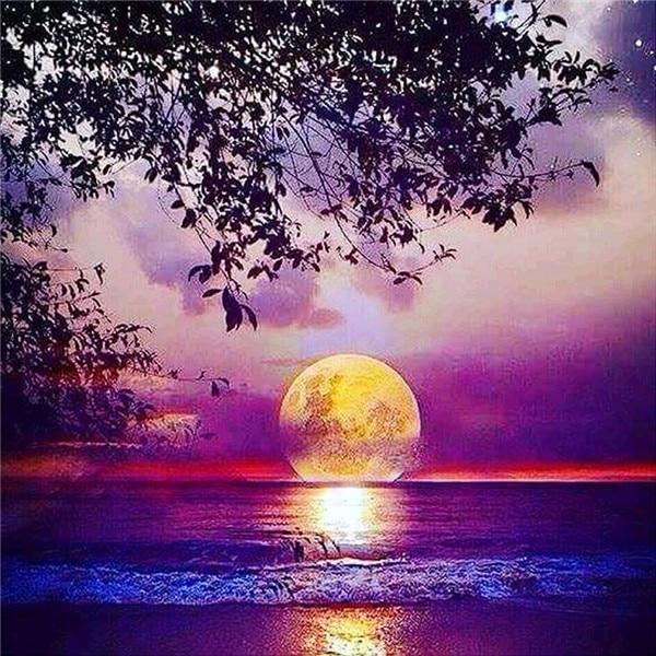 Алмазная картина, новый пейзаж, дерево, 5D DIY, Алмазная вышивка, распродажа, Луна, картины из стразов, мозаика, домашний декор
