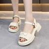 Small Height Increase Platform Sandals Women's Summer Wear 2025 New Fairy Style Casual Versatile Thick Heel Beach Shoes