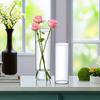 Fresh Flowers Transparent Flower Vase Hydroponic Plants Decorative Bottles  Restaurant Centerpiece