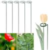 Long Flower Pile Bonsai Backyard Plant Support Stake Garden Tool Support Ring Stand