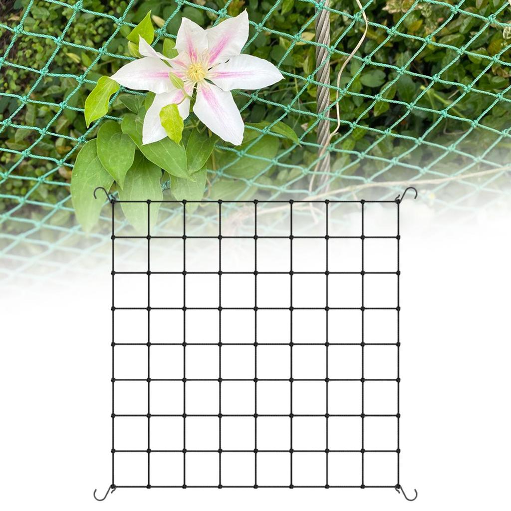 Plant Support Netting with Hooks, Lightweight Solution for Peas And Cantaloupes