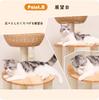 Nani New Cat Tower Made of Natural for Large Interior for Multiple with Observation Cat Clear for Claw 144cm Stable [Nani Life] \2024 Model/ Wood,
