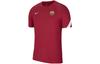 Мужская футболка Dri FIT ADV Красная CW1401-621