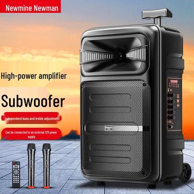 Портативная Bluetooth-колонка на колесиках Newmine A12 12 дюймов с двумя микрофонами, штекер CN (адаптер в комплекте)