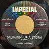 7inch Record SANDY NELSON - Drummin' Up A Storm 5829 Imperial 1962 US Rock Used