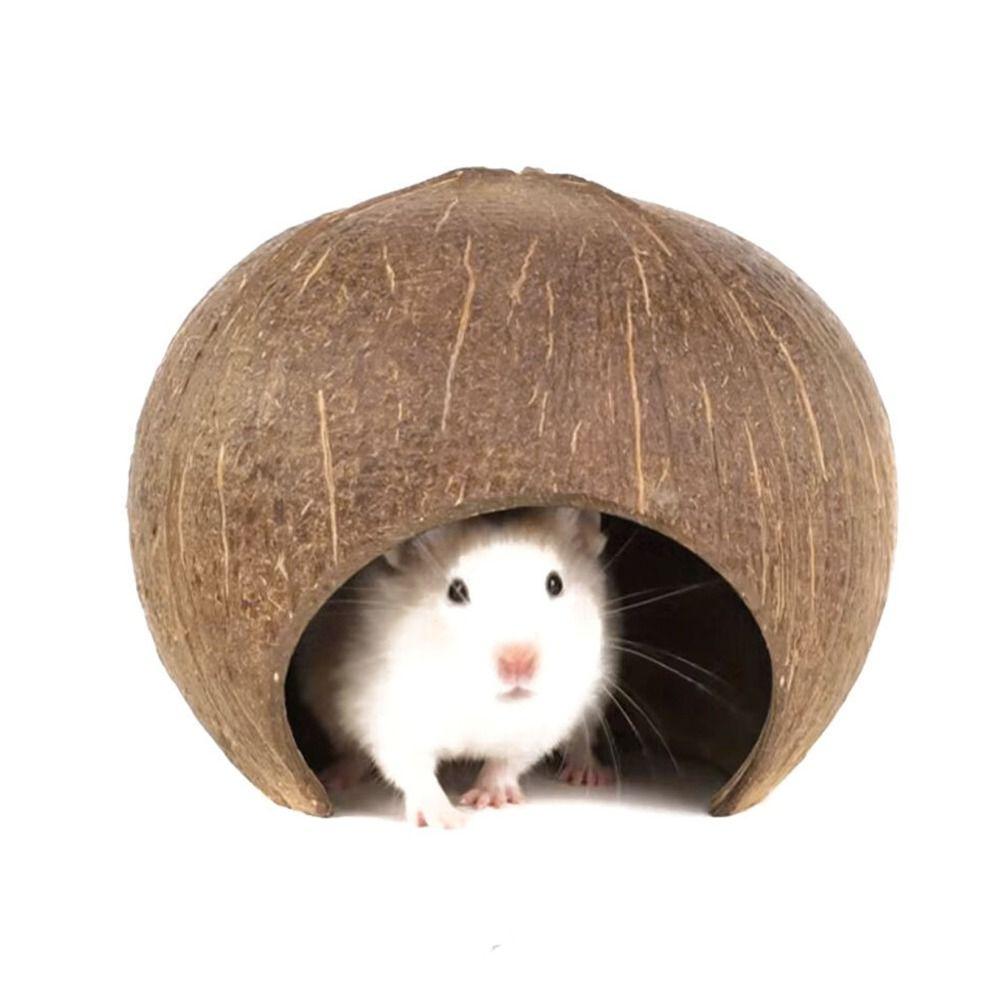 Bite-resistant Hamster Coconut Cage Natural Coconut Shell Hamster House Guinea Pig Hideout Lizards