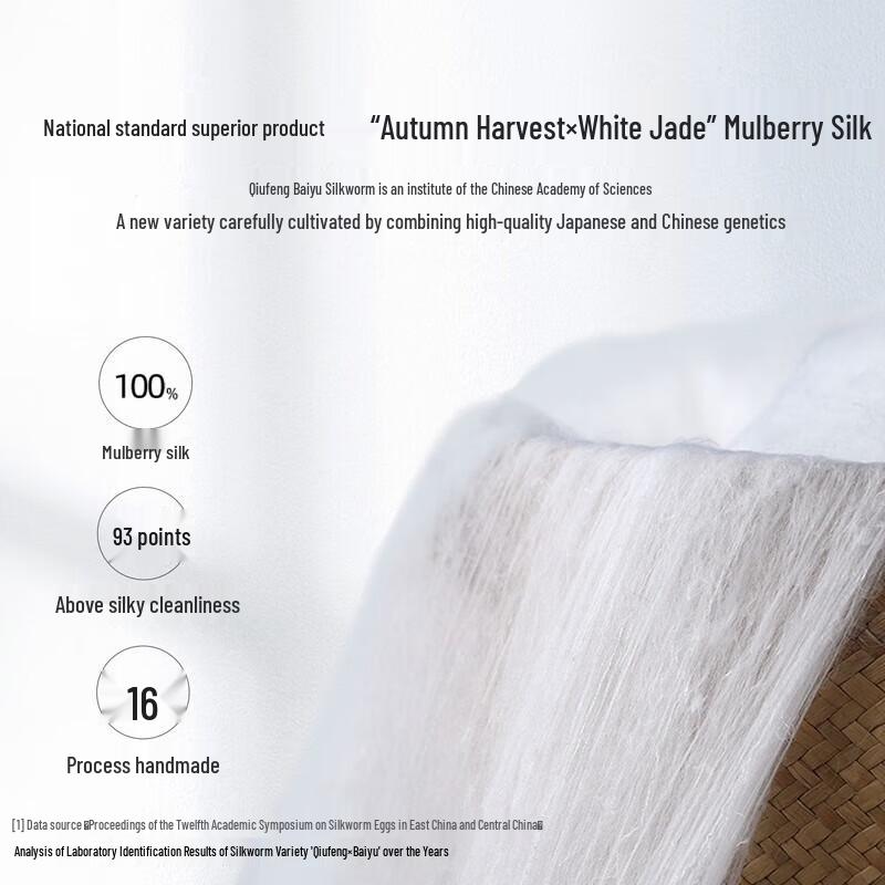 Mercury 100% Mulberry Silk Thickened Winter Quilt