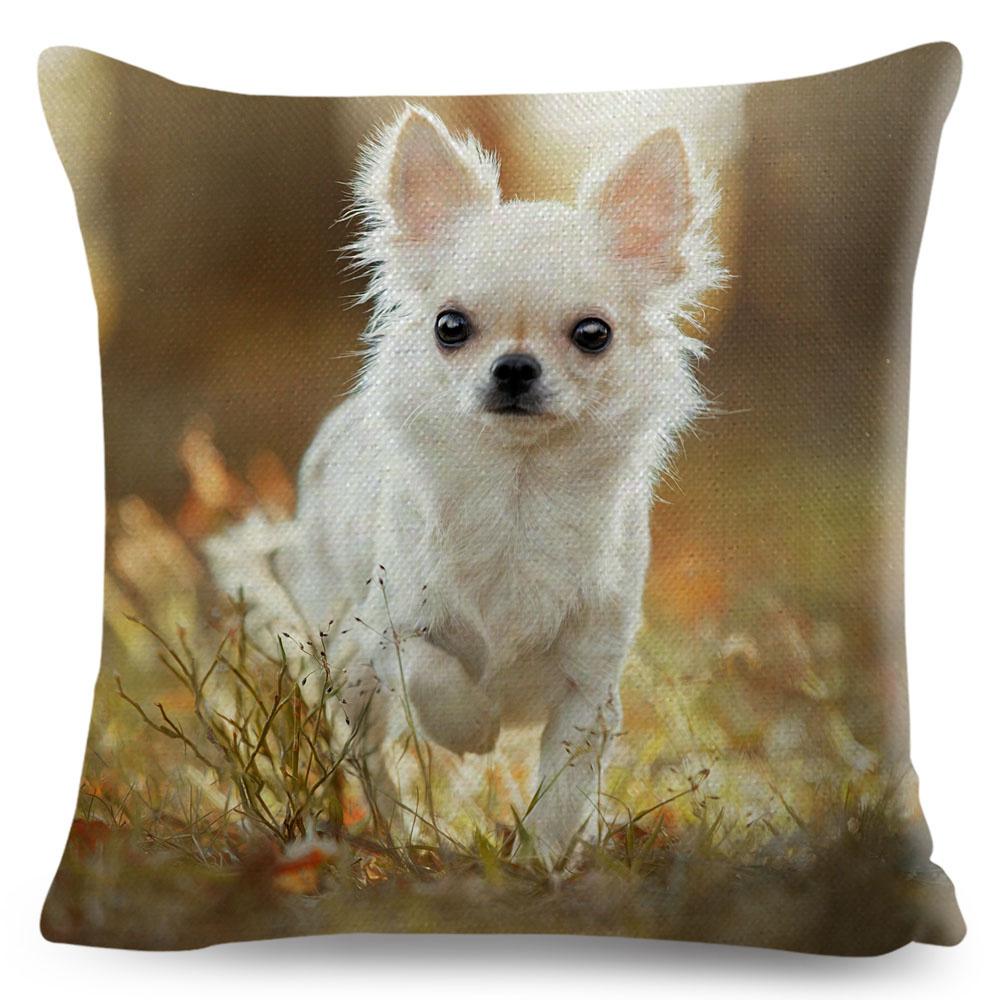 Милая маленькая собачка чихуахуа наволочка декор прекрасный питомец животное наволочка полиэстер наволочка для дивана дома машины 45х45см
