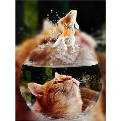 Полная 5D Diy Алмазная Картина Кошка и Рыба Алмазная Вышивка Крестом Домашний Декор Ручной Работы Подарок