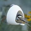 Detachable Hummingbird Feeder Suction Cup Bird Feeding Station Window Bird Feeder  Balcony Windows