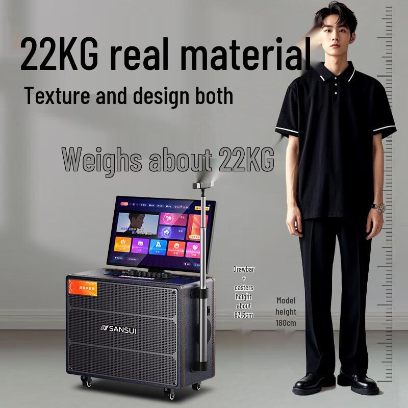 SANSUI Outdoor Karaoke Speaker with Display