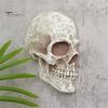 Боковое Лицо Человеческий Череп Орнамент Хэллоуин Декор Реалистичная Смола Статуя Ужаса Водонепроницаемое Украшение Домашнего Офиса И Двора