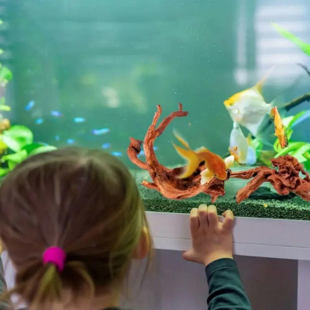 Натуральное дерево Водные растения Неправильной формы Корни дерева ананаса Воздушного Коралловое дерево для аквариума