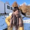 Autumn and Winter New Solid Color Wool Shawl, High Sense, Enlarged and Thickened Warm Scarf, Versatile Student Long Scarf