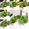 Brighten Your Surroundings Plastic Rose Mini Potted Plant Bonsai Home Decor