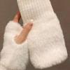 1 Pair New Mink Fleece Half Finger Gloves for Women's Soft Winter Warmth Luxury Solid Color Plush Knitted Fingerless Gloves