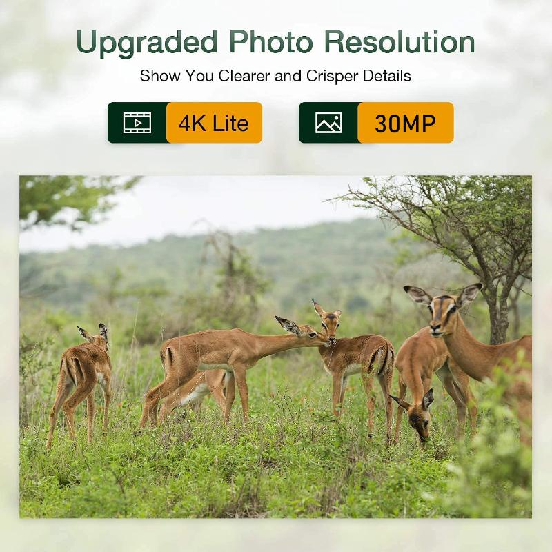 WIFI Камера слежения с прямой трансляцией 4K 30MP Управление через приложение Bluetooth Наружные камеры для охоты Ночное видение WIFI900PRO Наблюдение за дикой природой