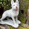 Garden figurine young shepherd dog - concrete dog