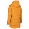 Womens/Ladies Judda Padded Jacket