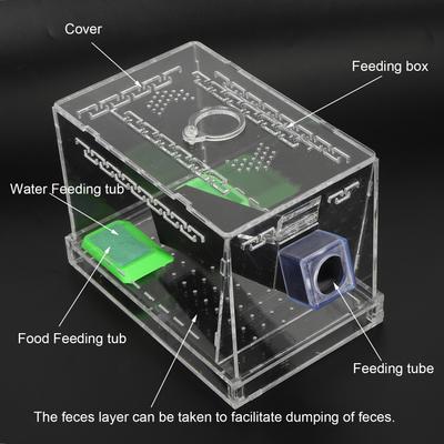 Акриловый пенал для содержания сверчков с трубками, набор для ухода за насекомыми, тараканами, высокая прозрачность, террариум для рептилий