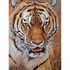5D DIY Diamond Painting Full Round Drill Tiger Animal Rhinestones Diamond Embroidery Cross Stitch Mosaic Wall Art Home Decor