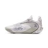 Баскетбольные кроссовки Wade All City 13ENCORE Low top Мужские Бело-серые ABAV043-3