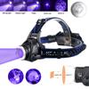 2000LM Green/Red/UV 395nm Headlamp Waterproof Zoomable Ultraviolet Headlight USB Rechargeable Head Lamp 3 Modes Hunting Torch