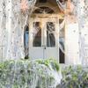 White Elastic Halloween Artificial Spider Web DIY Props Fake Spider Silk Prop Outdoor Yard